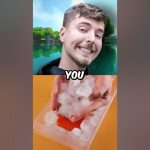 Who Won Mr Beast's Minecraft Building Contest? #shorts