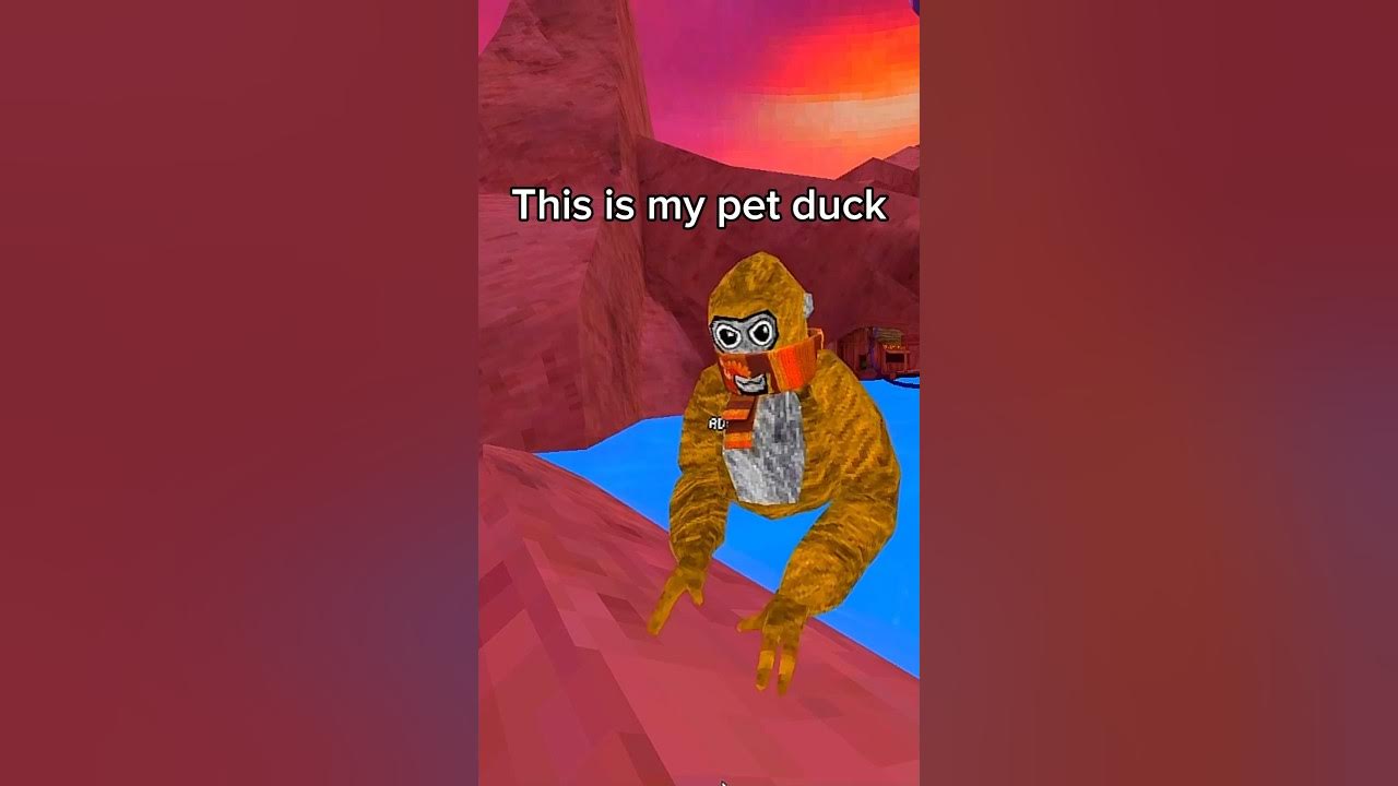 This is my pet duck Adam #gorillatag #vr #gtag #shorts
