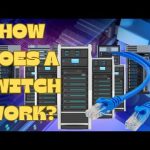Home Lab Networking #101 How Does A Switch Work? (Perfect Guide For Beginners)